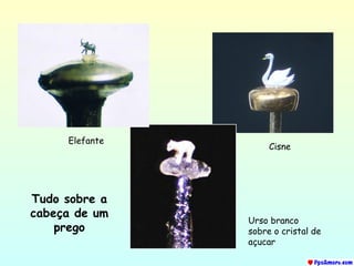 Tudo sobre a cabeça de um prego Elefante Cisne Urso branco sobre o cristal de açucar 
