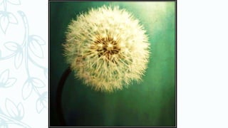 Vincent van Gogh (Dutch, 1853–1890)
Oil on canvas 17 x 24 in. (43.2 x 61 cm) Sunflowers 1887
 