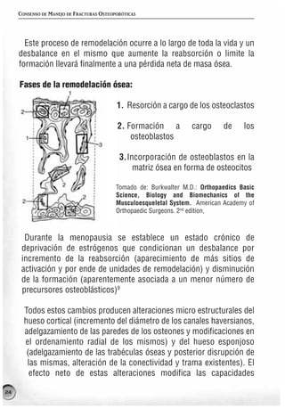 CONSENSO DE MANEJO DE FRACTURAS OSTEOPORÓTICAS




       Este proceso de remodelación ocurre a lo largo de toda la vida y un
     desbalance en el mismo que aumente la reabsorción o limite la
     formación llevará finalmente a una pérdida neta de masa ósea.

     Fases de la remodelación ósea:

                                           1. Resorción a cargo de los osteoclastos

                                           2. Formación a           cargo     de     los
                                               osteoblastos

                                            3.Incorporación de osteoblastos en la
                                                matriz ósea en forma de osteocitos

                                           Tomado de: Burkwalter M.D.: Orthopaedics Basic
                                           Science, Biology and Biomechanics of the
                                           Musculoesqueletal System. American Academy of
                                           Orthopaedic Surgeons. 2nd edition,



       Durante la menopausia se establece un estado crónico de
      deprivación de estrógenos que condicionan un desbalance por
      incremento de la reabsorción (aparecimiento de más sitios de
      activación y por ende de unidades de remodelación) y disminución
      de la formación (aparentemente asociada a un menor número de
      precursores osteoblásticos)9

       Todos estos cambios producen alteraciones micro estructurales del
       hueso cortical (incremento del diámetro de los canales haversianos,
       adelgazamiento de las paredes de los osteones y modificaciones en
       el ordenamiento radial de los mismos) y del hueso esponjoso
        (adelgazamiento de las trabéculas óseas y posterior disrupción de
        las mismas, alteración de la conectividad y trama existentes). El
         efecto neto de estas alteraciones modifica las capacidades

24
 