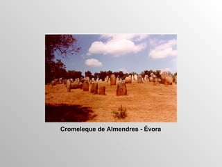 Cromeleque de Almendres - Évora
 