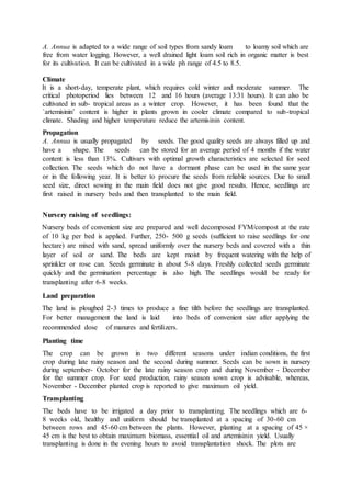 A. Annua is adapted to a wide range of soil types from sandy loam to loamy soil which are
free from water logging. However, a well drained light loam soil rich in organic matter is best
for its cultivation. It can be cultivated in a wide ph range of 4.5 to 8.5.
Climate
It is a short-day, temperate plant, which requires cold winter and moderate summer. The
critical photoperiod lies between 12 and 16 hours (average 13:31 hours). It can also be
cultivated in sub- tropical areas as a winter crop. However, it has been found that the
`artemisinin’ content is higher in plants grown in cooler climate compared to sub-tropical
climate. Shading and higher temperature reduce the artemisinin content.
Propagation
A. Annua is usually propagated by seeds. The good quality seeds are always filled up and
have a shape. The seeds can be stored for an average period of 4 months if the water
content is less than 13%. Cultivars with optimal growth characteristics are selected for seed
collection. The seeds which do not have a dormant phase can be used in the same year
or in the following year. It is better to procure the seeds from reliable sources. Due to small
seed size, direct sowing in the main field does not give good results. Hence, seedlings are
first raised in nursery beds and then transplanted to the main field.
Nursery raising of seedlings:
Nursery beds of convenient size are prepared and well decomposed FYM/compost at the rate
of 10 kg per bed is applied. Further, 250- 500 g seeds (sufficient to raise seedlings for one
hectare) are mixed with sand, spread uniformly over the nursery beds and covered with a thin
layer of soil or sand. The beds are kept moist by frequent watering with the help of
sprinkler or rose can. Seeds germinate in about 5-8 days. Freshly collected seeds germinate
quickly and the germination percentage is also high. The seedlings would be ready for
transplanting after 6-8 weeks.
Land preparation
The land is ploughed 2-3 times to produce a fine tilth before the seedlings are transplanted.
For better management the land is laid into beds of convenient size after applying the
recommended dose of manures and fertilizers.
Planting time
The crop can be grown in two different seasons under indian conditions, the first
crop during late rainy season and the second during summer. Seeds can be sown in nursery
during september- October for the late rainy season crop and during November - December
for the summer crop. For seed production, rainy season sown crop is advisable, whereas,
November - December planted crop is reported to give maximum oil yield.
Transplanting
The beds have to be irrigated a day prior to transplanting. The seedlings which are 6-
8 weeks old, healthy and uniform should be transplanted at a spacing of 30-60 cm
between rows and 45-60 cm between the plants. However, planting at a spacing of 45 ×
45 cm is the best to obtain maximum biomass, essential oil and artemisinin yield. Usually
transplanting is done in the evening hours to avoid transplantation shock. The plots are
 