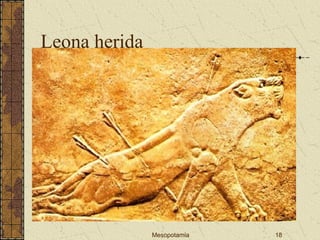 Mesopotamia 18
Leona herida
 