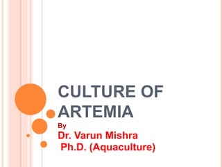 CULTURE OF
ARTEMIA
By
Dr. Varun Mishra
Ph.D. (Aquaculture)
 