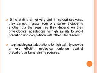  Brine shrimp thrive very well in natural seawater,
they cannot migrate from one saline biotope to
another via the seas, ...
