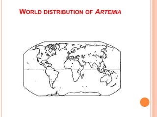 WORLD DISTRIBUTION OF ARTEMIA
 