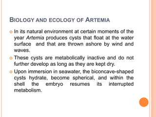 BIOLOGY AND ECOLOGY OF ARTEMIA
 In its natural environment at certain moments of the
year Artemia produces cysts that flo...