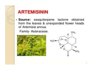 Artemisia.pptx