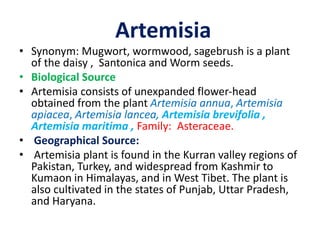 Artemisia
• Synonym: Mugwort, wormwood, sagebrush is a plant
of the daisy , Santonica and Worm seeds.
• Biological Source
• Artemisia consists of unexpanded flower-head
obtained from the plant Artemisia annua, Artemisia
apiacea, Artemisia lancea, Artemisia brevifolia ,
Artemisia maritima , Family: Asteraceae.
• Geographical Source:
• Artemisia plant is found in the Kurran valley regions of
Pakistan, Turkey, and widespread from Kashmir to
Kumaon in Himalayas, and in West Tibet. The plant is
also cultivated in the states of Punjab, Uttar Pradesh,
and Haryana.
 