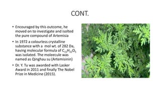 CONT.
• Encouraged by this outcome, he
moved on to investigate and isolted
the pure compound of Artemisia
• In 1972 a colourless crystalline
substance with a mol wt. of 282 Da,
having molecular formula of C15H22O5
was isolated. The moleecule was
named as Qinghau su (Artemisinin)
• Dr. Y. Tu was awarded with Lasker
Award in 2011 and finally The Nobel
Prize in Medicine (2015).
 
