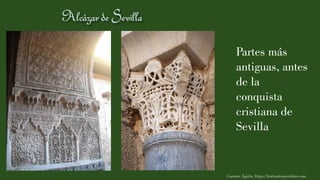 Partes más
antiguas, antes
de la
conquista
cristiana de
Sevilla
Carmen Águila, https://hortushesperidum.com
 