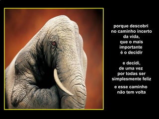 [email_address] porque descobri  no caminho incerto da vida, que o mais importante  é o decidir e decidi, de uma vez  por todas ser simplesmente feliz e esse caminho  não tem volta 