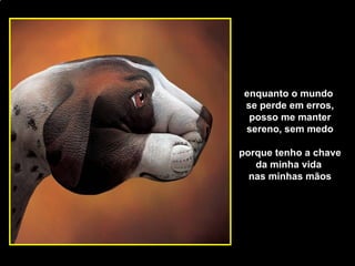 [email_address] enquanto o mundo  se perde em erros, posso me manter sereno, sem medo porque tenho a chave  da minha vida  nas minhas mãos 