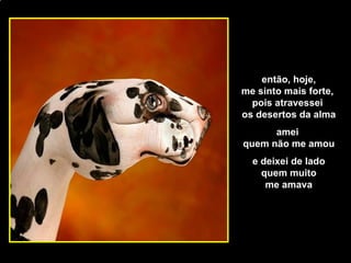 [email_address] então, hoje, me sinto mais forte,  pois atravessei  os desertos da alma amei  quem não me amou e deixei de lado quem muito me amava 