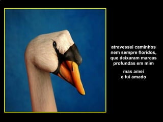 [email_address] atravessei caminhos nem sempre floridos, que deixaram marcas profundas em mim mas amei e fui amado 