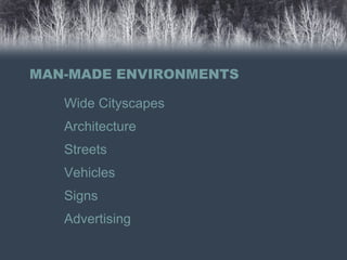 MAN-MADE ENVIRONMENTS
Wide Cityscapes
Architecture
Streets
Vehicles
Signs
Advertising
 
