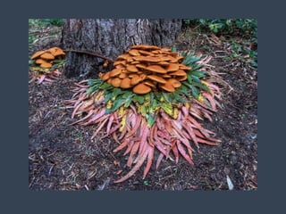 Art &amp; environment