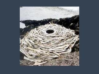 Art &amp; environment