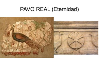 PAVO REAL (Eternidad)

 