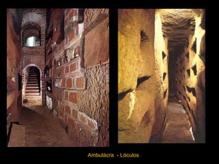 Ambulácra  - Lóculos 