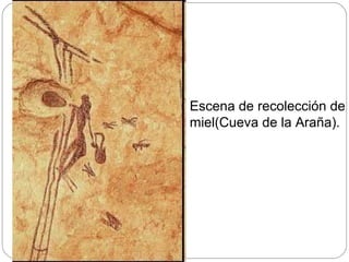 Escena de recolección de
miel(Cueva de la Araña).
 