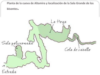 Planta de la cueva de Altamira y localización de la Sala Grande de los
bisontes   .
 