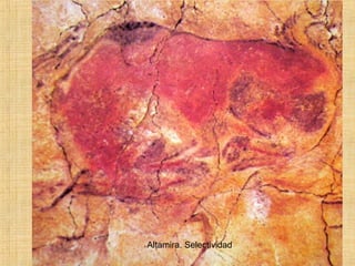 Altamira. Selectividad
 