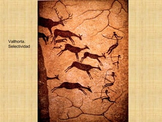 Vallhorta.
Selectividad
 