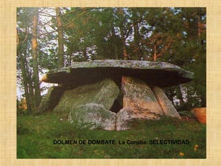 DOLMEN DE DOMBATE. La Coruña. SELECTIVIDAD
 
