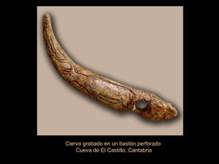 Ciervo grabado en un bastón perforado  Cueva de El Castillo, Cantabria 