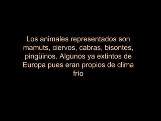 Los animales representados son mamuts, ciervos, cabras, bisontes, pingüinos. Algunos ya extintos de Europa pues eran propios de clima frío 