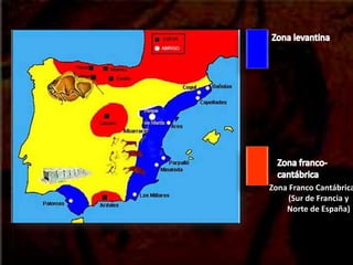 Zona Franco Cantábrica
(Sur de Francia y
Norte de España)
 