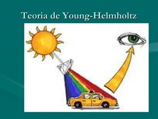 Teoria de Young-HelmholtzTeoria de Young-Helmholtz
 