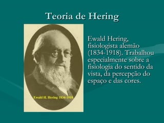 Teoria de HeringTeoria de Hering
Ewald Hering,Ewald Hering,
fisiologista alemãofisiologista alemão
(1834-1918). Trabalhou(1834-1918). Trabalhou
especialmente sobre aespecialmente sobre a
fisiologia do sentido dafisiologia do sentido da
vista, da percepção dovista, da percepção do
espaço e das cores.espaço e das cores.
 