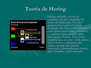 Teoria de HeringTeoria de Hering
Hering, defende a teoria daHering, defende a teoria da
existência de três variedades deexistência de três variedades de
cones de dupla ação. Um doscones de dupla ação. Um dos
grupos seria responsável pelagrupos seria responsável pela
formação das luzes azul e amarela;formação das luzes azul e amarela;
outro pelas luzes verde e vermelha,outro pelas luzes verde e vermelha,
e o terceiro seria excitado pelase o terceiro seria excitado pelas
luzes preta e branca. Essa teorialuzes preta e branca. Essa teoria
expressa que, as cores verde, preta eexpressa que, as cores verde, preta e
azul refazem a substância dasazul refazem a substância das
células, porém essa mesmacélulas, porém essa mesma
substância é destruída pelo branco,substância é destruída pelo branco,
pelo vermelho e pelo amarelo.pelo vermelho e pelo amarelo.
 