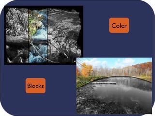 Color
Blocks
