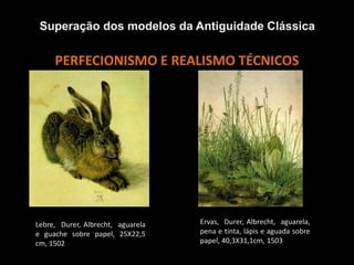 PERFECIONISMO E REALISMO TÉCNICOS
Superação dos modelos da Antiguidade Clássica
Lebre, Durer, Albrecht, aguarela
e guache sobre papel, 25X22,5
cm, 1502
Ervas, Durer, Albrecht, aguarela,
pena e tinta, lápis e aguada sobre
papel, 40,3X31,1cm, 1503
 