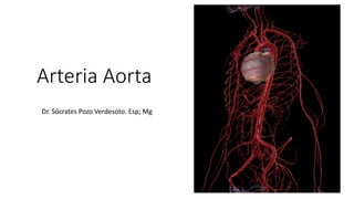 Arteria Aorta
Dr. Sócrates Pozo Verdesoto. Esp; Mg
 