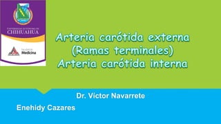 Dr. Víctor Navarrete
Enehidy Cazares
 