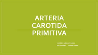 ARTERIA 
CAROTIDA 
PRIMITIVA 
NAXHIELY LAZCANO VARELA 
2do Odontología Anatomía Humana 
 