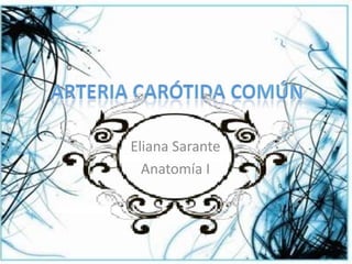 Eliana Sarante
Anatomía I
 