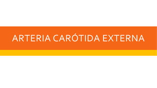 ARTERIA CARÓTIDA EXTERNA
 