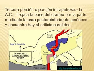 Tercera porción o porción intrapetrosa.- la
A.C.I. llega a la base del cráneo por la parte
media de la cara posteroinferior del peñasco
y encuentra hay al orificio carotideo.
 