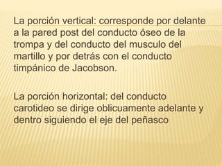 La porción vertical: corresponde por delante
a la pared post del conducto óseo de la
trompa y del conducto del musculo del
martillo y por detrás con el conducto
timpánico de Jacobson.
La porción horizontal: del conducto
carotideo se dirige oblicuamente adelante y
dentro siguiendo el eje del peñasco
 