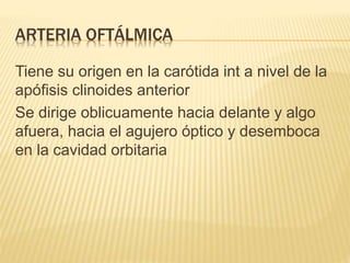 ARTERIA OFTÁLMICA
Tiene su origen en la carótida int a nivel de la
apófisis clinoides anterior
Se dirige oblicuamente hacia delante y algo
afuera, hacia el agujero óptico y desemboca
en la cavidad orbitaria
 