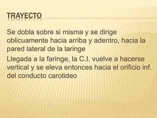 TRAYECTO
Se dobla sobre si misma y se dirige
oblicuamente hacia arriba y adentro, hacia la
pared lateral de la laringe
Llegada a la faringe, la C.I. vuelve a hacerse
vertical y se eleva entonces hacia el orificio inf.
del conducto carotideo
 