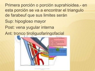 Primera porción o porción suprahioidea.- en
esta porción se va a encontrar el triangulo
de farabeuf que sus limites serán
Sup: hipogloso mayor
Post: vena yugular interna
Ant: tronco tiroliguofaringofacial
 