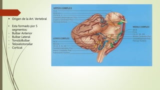 Arteria Cerebelosa PosteroInferior.pptx