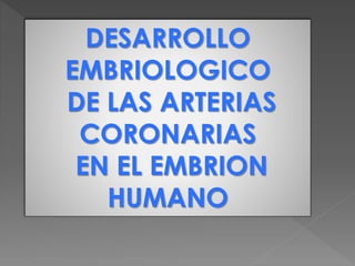 DESARROLLO 
EMBRIOLOGICO 
DE LAS ARTERIAS 
CORONARIAS 
EN EL EMBRION 
HUMANO 
 