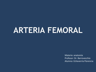 ARTERIA FEMORAL Materia: anatomía Profesor: Dr. Barrovecchio  Alumno: Echeverría Florencia 