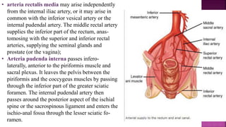 • arteria rectalis media may arise independently
from the internal iliac artery, or it may arise in
common with the inferior vesical artery or the
internal pudendal artery. The middle rectal artery
supplies the inferior part of the rectum, anas-
tomosing with the superior and inferior rectal
arteries, supplying the seminal glands and
prostate (or the vagina);
• Arteria pudenda interna passes infero-
laterally, anterior to the piriformis muscle and
sacral plexus. It leaves the pelvis between the
piriformis and the coccygeus muscles by passing
through the inferior part of the greater sciatic
foramen. The internal pudendal artery then
passes around the posterior aspect of the ischial
spine or the sacrospinous ligament and enters the
ischio-anal fossa through the lesser sciatic fo-
ramen.
 